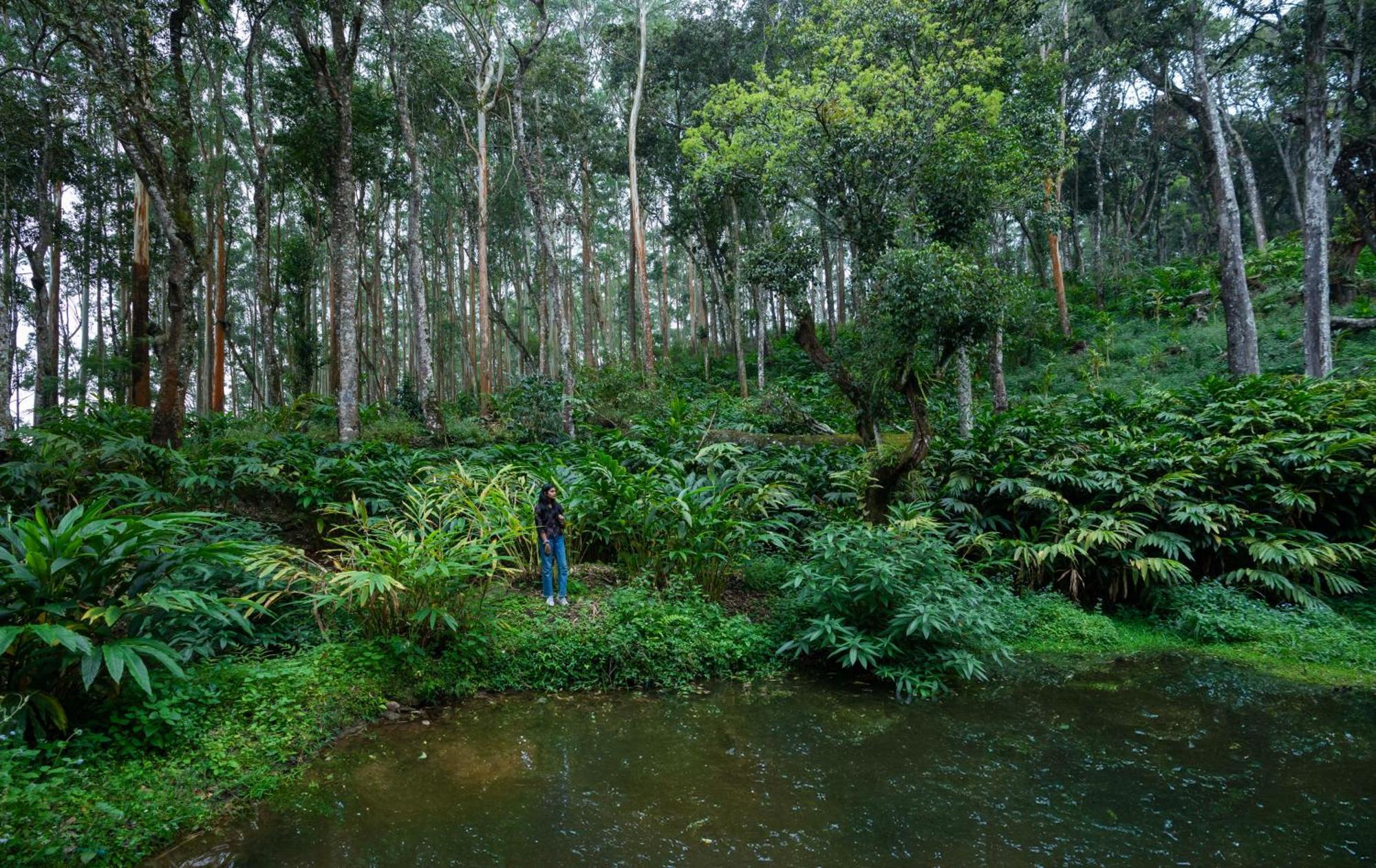 Fort Munnar Chinnakanal Luaran gambar